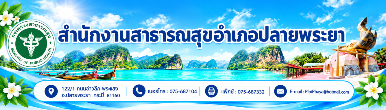 สำนักงานสาธารณสุขอำเภอปลายพระยา